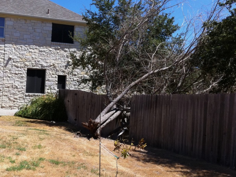 2011-09-05-6607 Conifer Cove-25.jpg